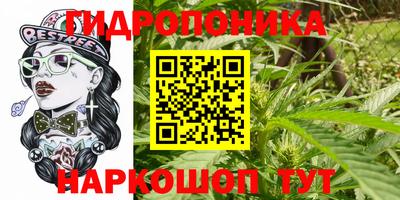 таблы Новодвинск