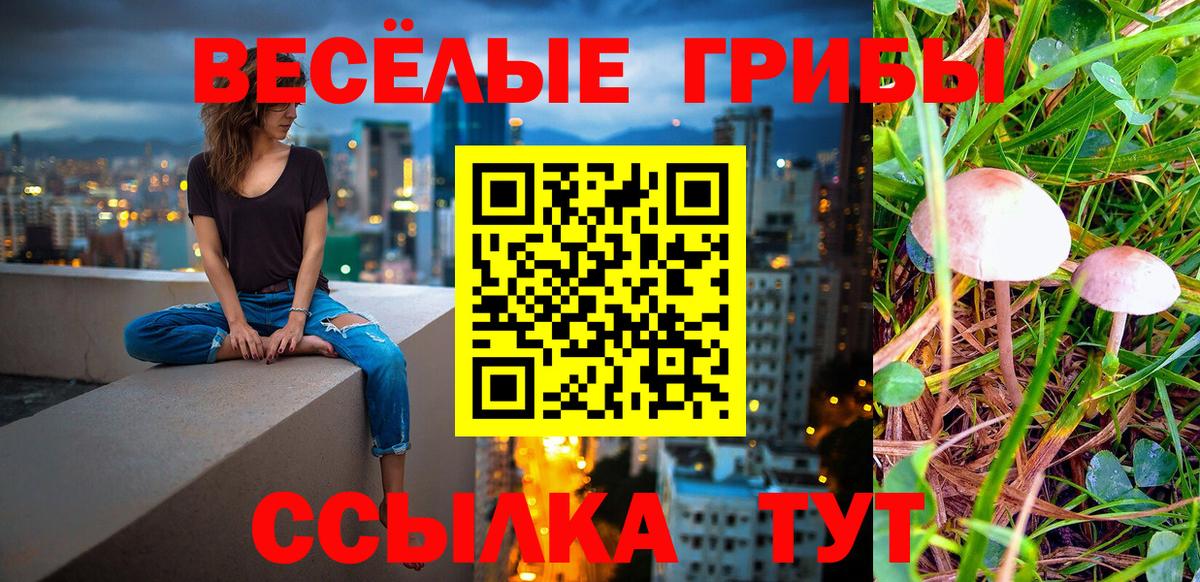 Псилоцибиновые грибы мицелий Сердобск