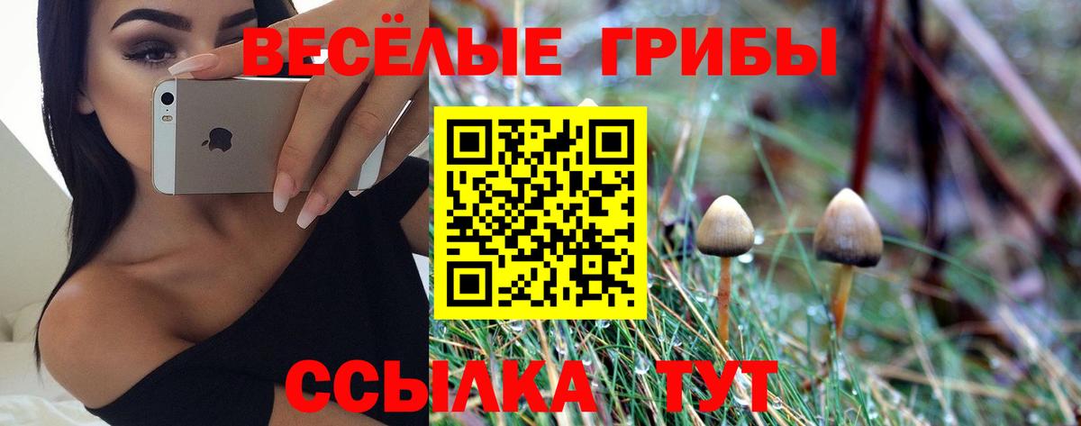 Псилоцибиновые грибы прущие грибы  Вход с VPN  Сердобск 